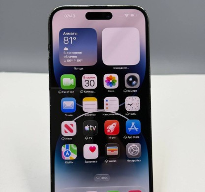 iPhone 14 Pro Max 256GB Space Black 100%